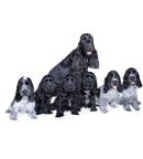 Cocker Spaniel for sale by DIPENMAN