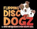 Border Collie for sale by FLIPPINGDISCDOGZ