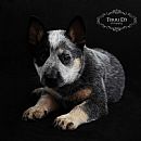 Australian Cattle Dog for sale by HEELMBLU