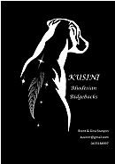 Rhodesian Ridgeback for sale by KUSINI