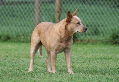 https://dkw0th85j7rqd.cloudfront.net/images/profiles/10/07/29341_294.jpg
