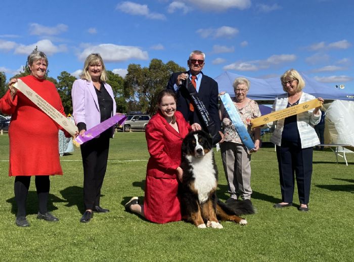 CH Zollikon To The Moon And Back Bernese Mountain Dog Owned by