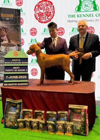 Click to view more details