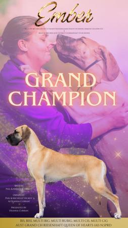 Aust Ch Riesenhaft Queen Of Hearts AI N.SPRD Great Dane