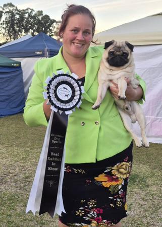 Gr Ch Kabova Viva La Vida Pug