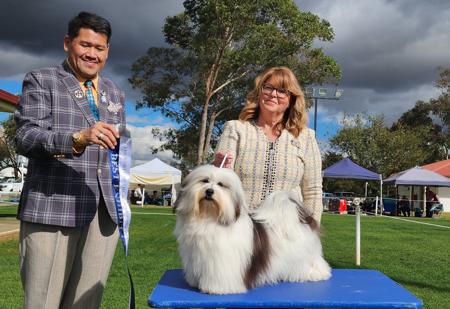 Edinglen Love Me Better Havanese