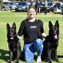 German Shepherd Dog for sale by NIMERIA