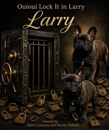Ouioui Lock It In Larry French Bulldog