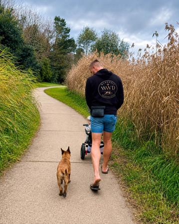 Belgian Shepherd Dog (Malinois) for sale by WYNDROSE