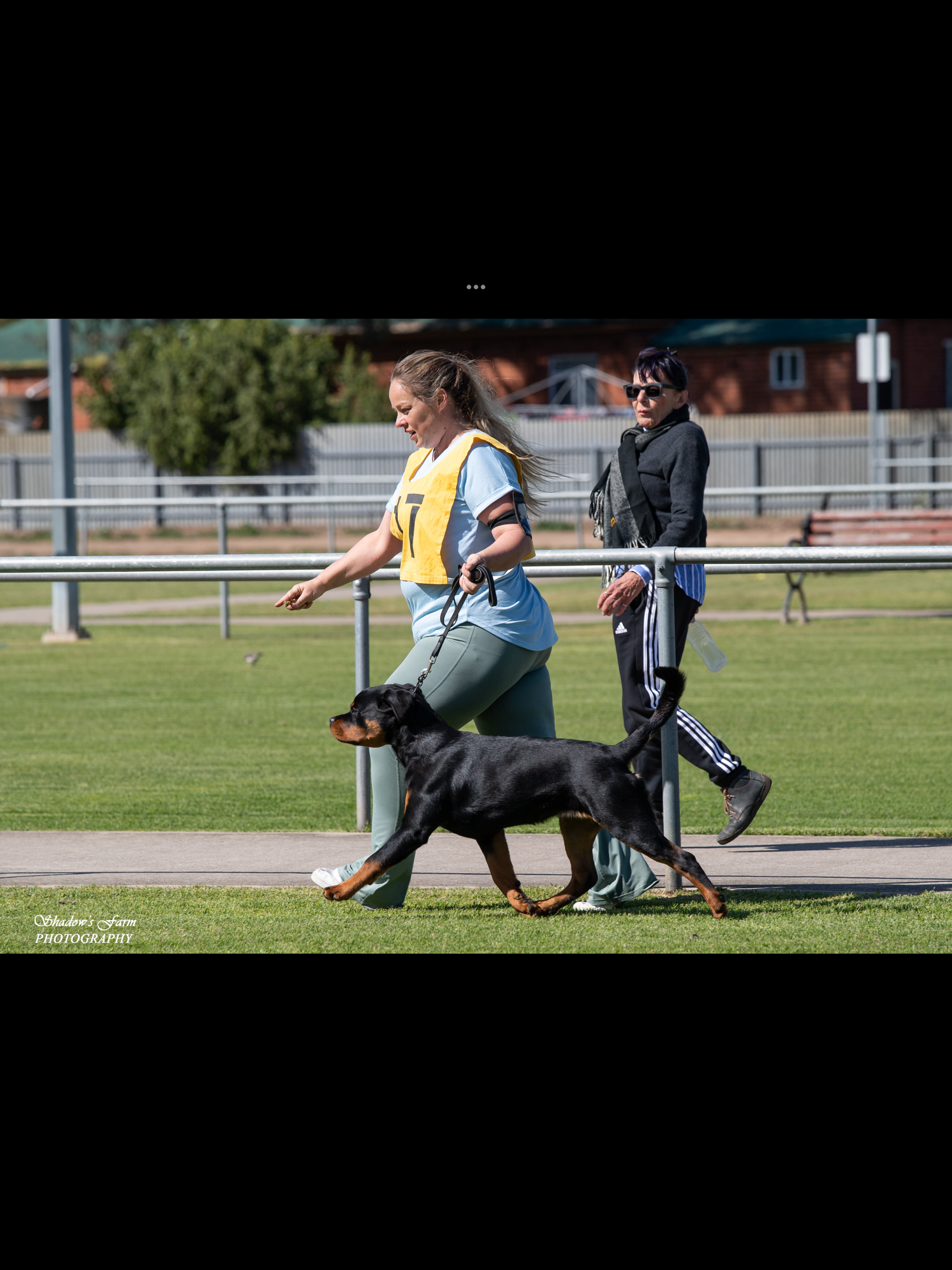 Ch Alchemy Nancy Whiskey Rottweiler - Owned by Miss C Wills & Alchemy ...
