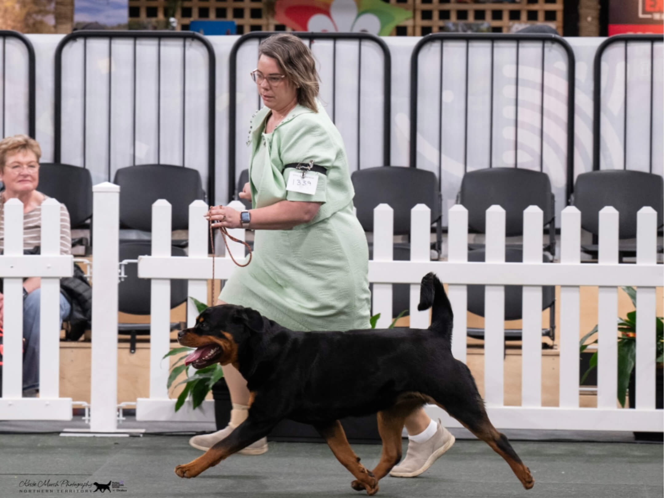 Ch Alchemy Nancy Whiskey Rottweiler - Owned by Miss C Wills & Alchemy ...