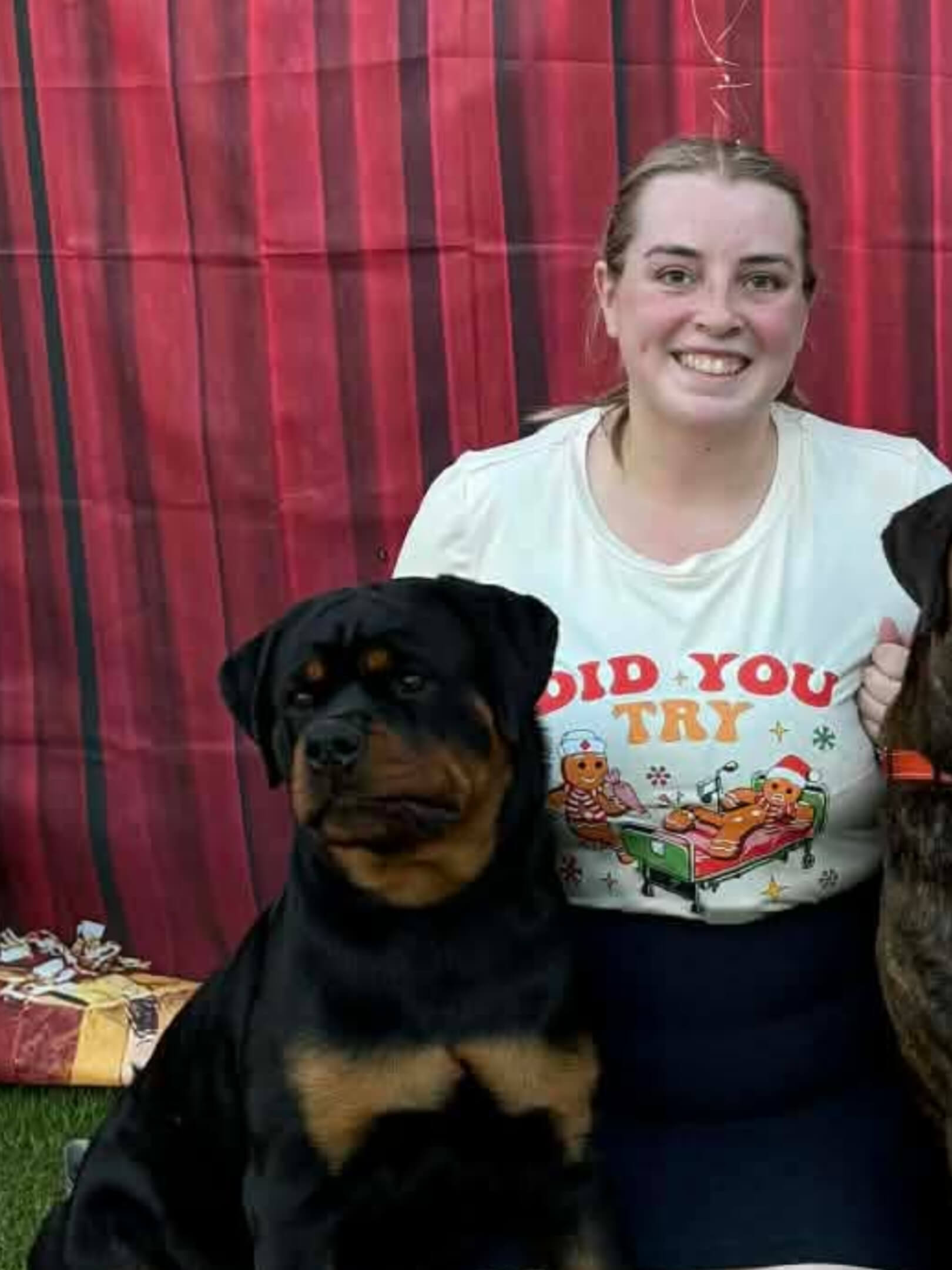 Alchemy Sasha The Slasher Rottweiler - Owned by Alchemy Kennels & Mrs P ...