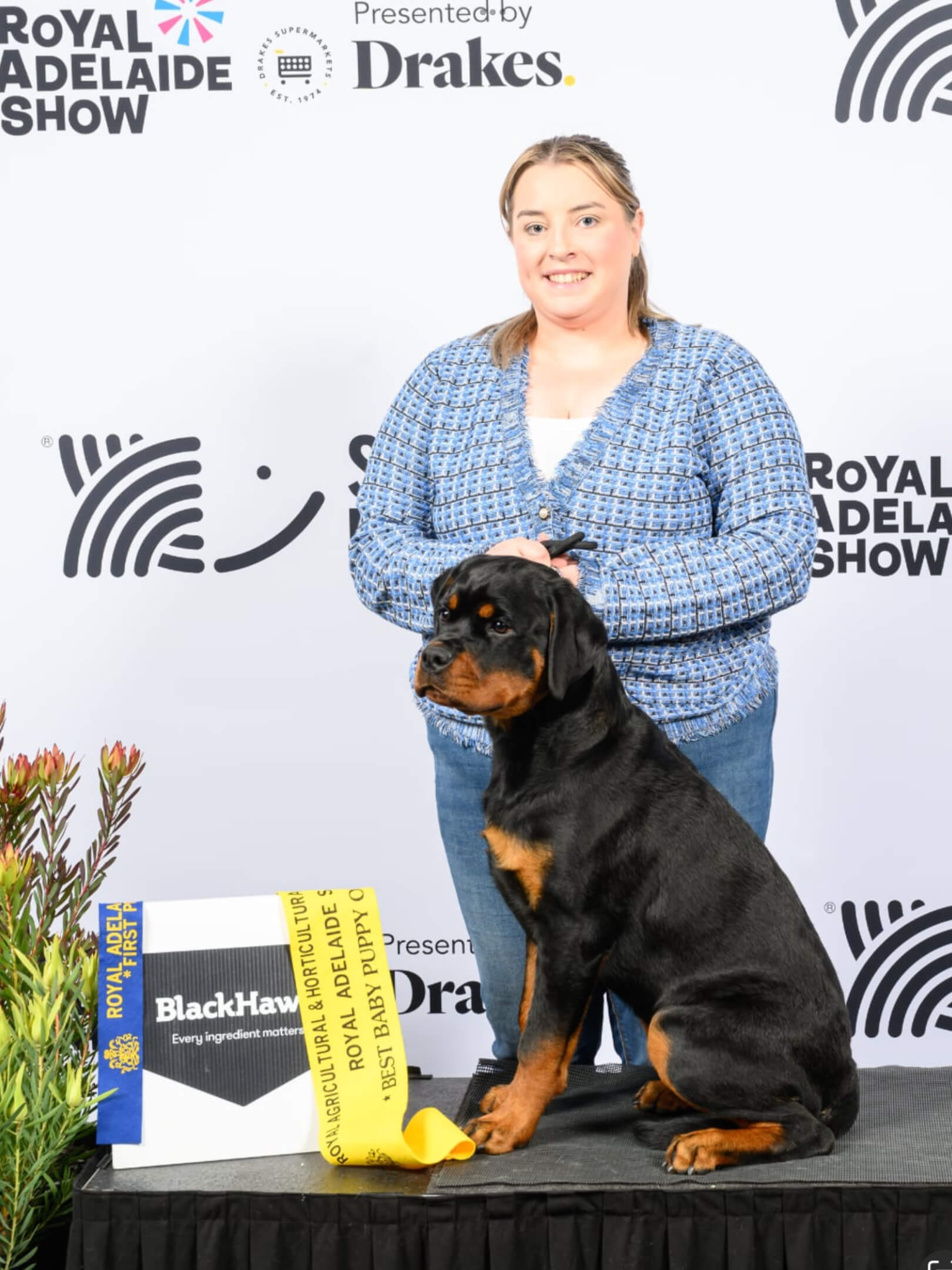 Alchemy Sasha The Slasher Rottweiler - Owned by Alchemy Kennels & Mrs P ...