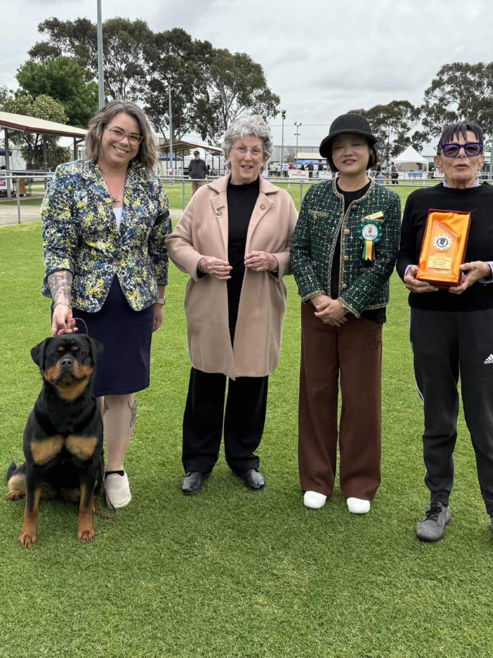 Ch Alchemy Nancy Whiskey Rottweiler - Owned by Miss C Wills & Alchemy ...