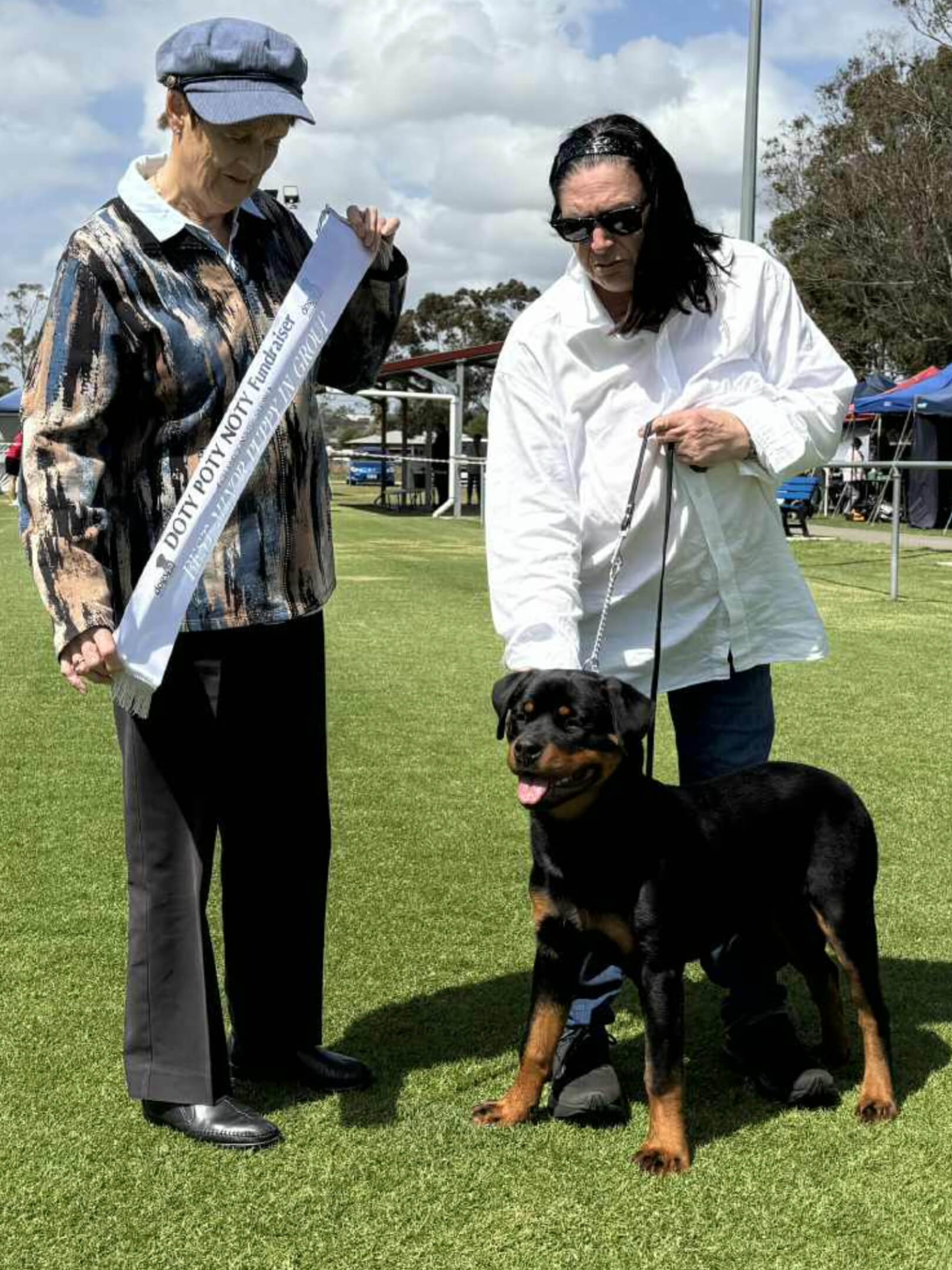 Ch Alchemy Candy Crusher Rottweiler - Owned by Alchemy Kennels