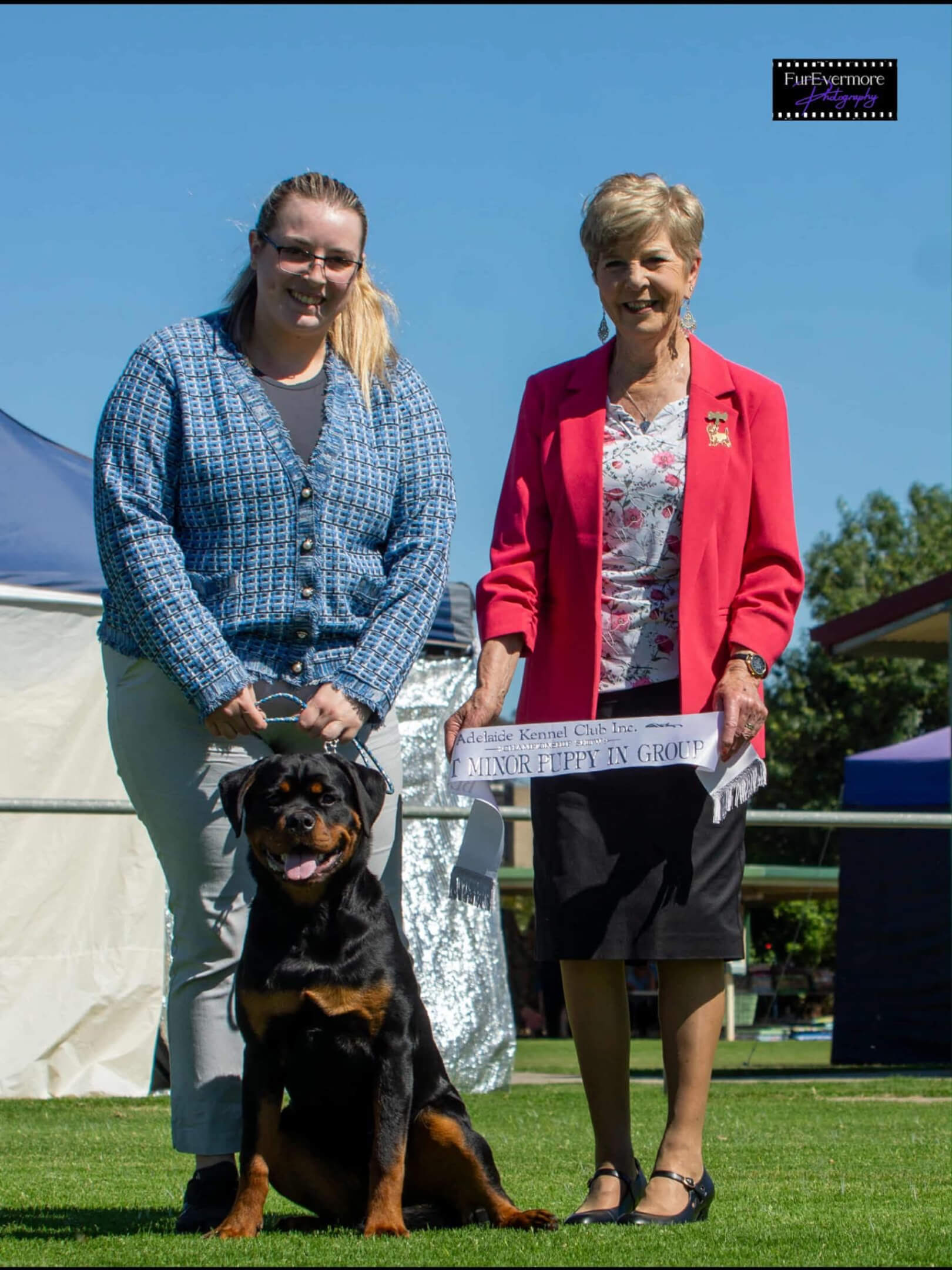 Alchemy Sasha The Slasher Rottweiler - Owned by Alchemy Kennels & Mrs P ...