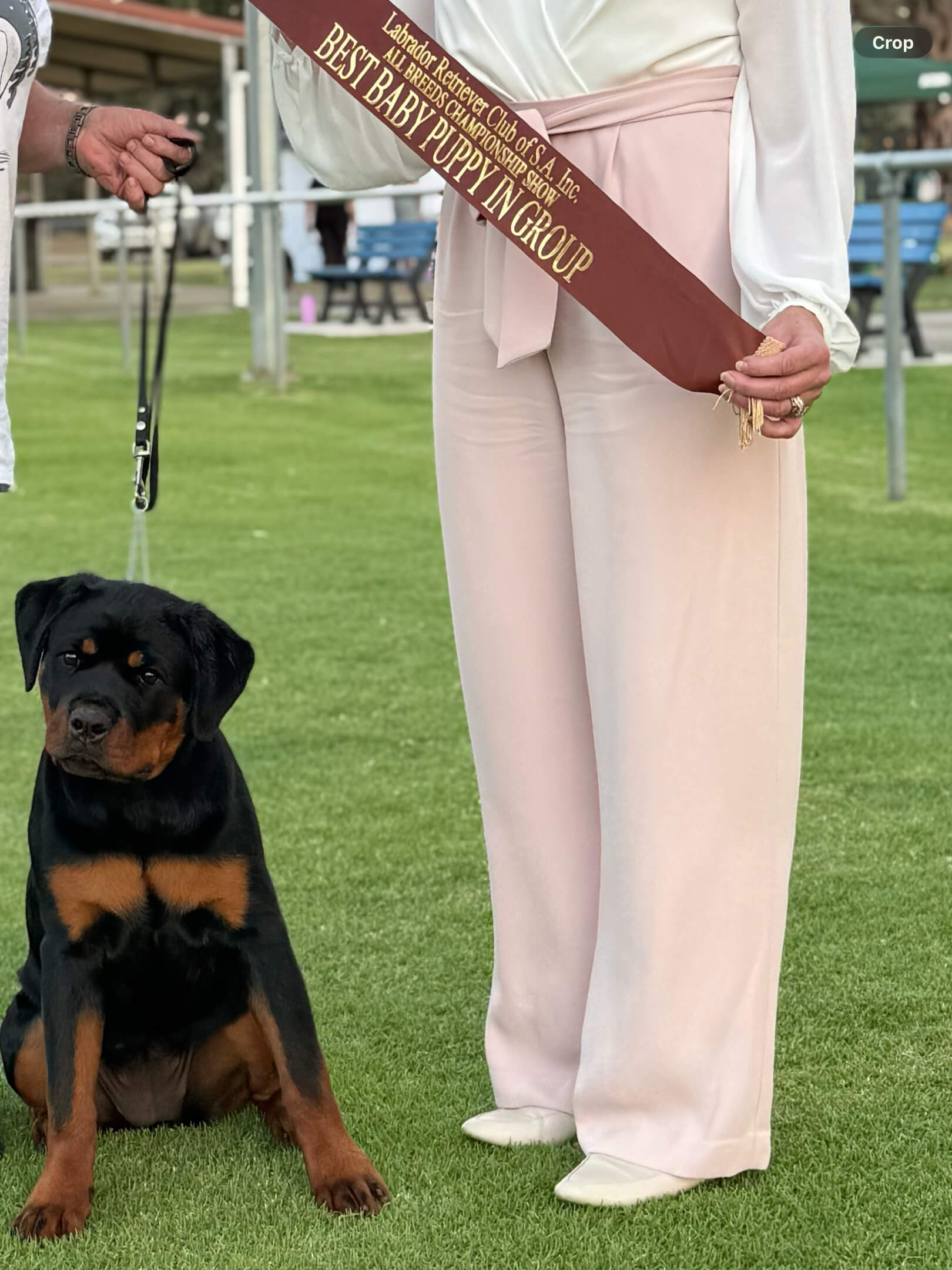 Alchemy Bunnie Does Jelly Roll Rottweiler - Owned by Alchemy Kennels