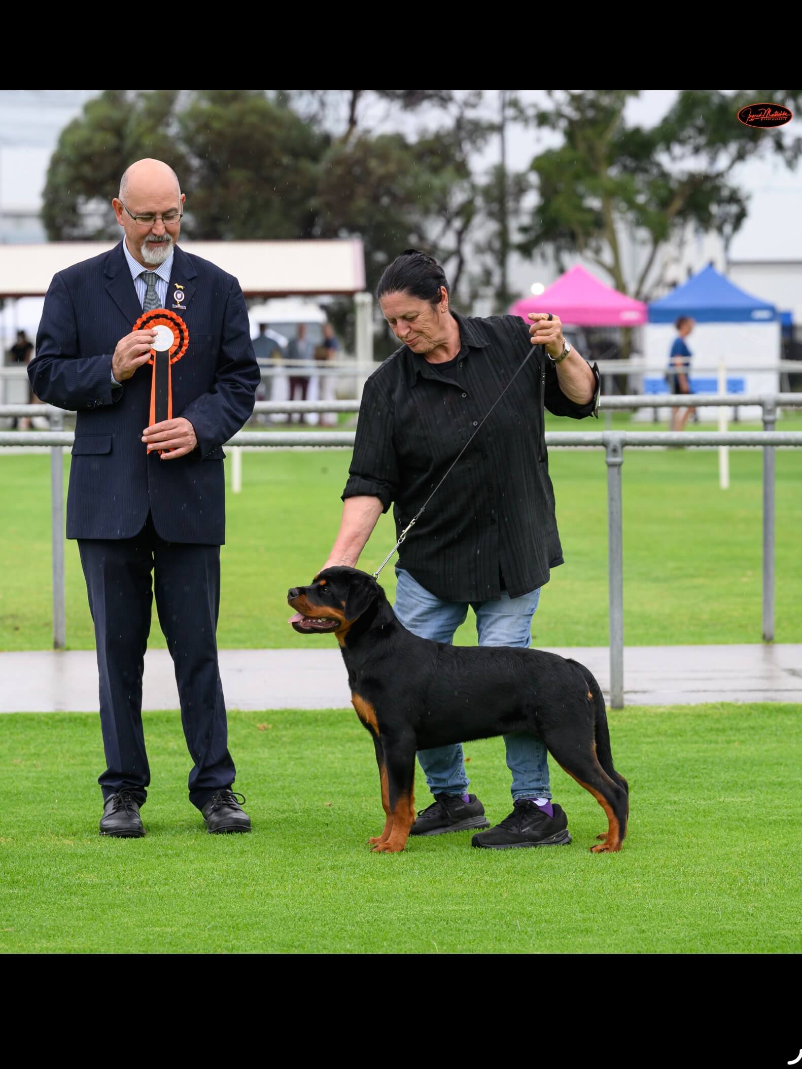Alchemy Bunnie Does Jelly Roll Rottweiler - Owned by Alchemy Kennels