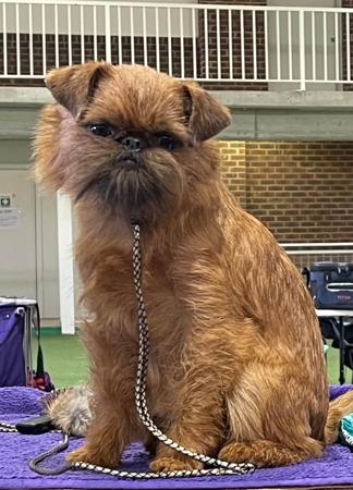 Click to view more details