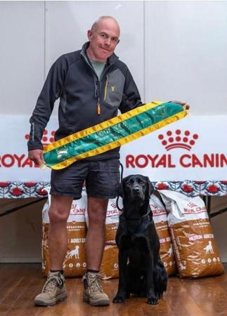 Labrador Retriever for sale by OAKLABS