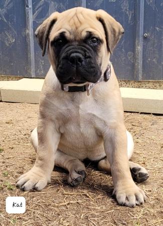 Click to view more details