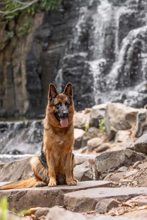 Click to view more details