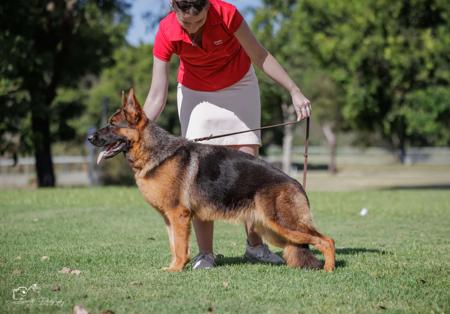 Click to view more details