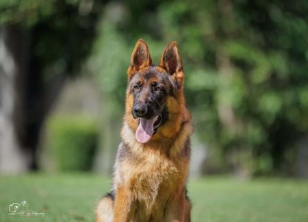 Click to view more details