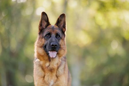 Click to view more details