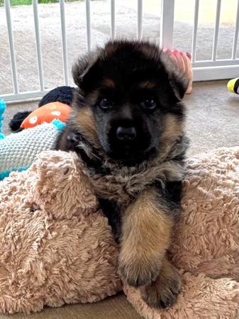 Click to view more details