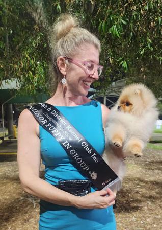 Pomeranian for sale by TUFFLUFF