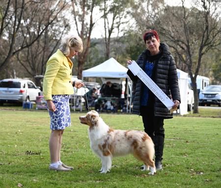 Click to view more details