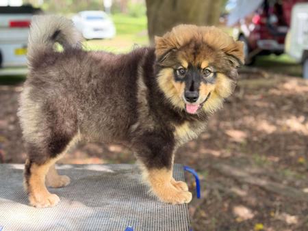 Click to view more details