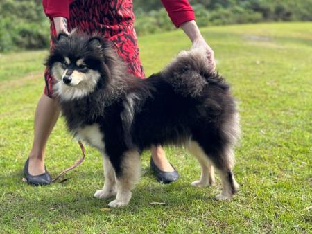 Click to view more details