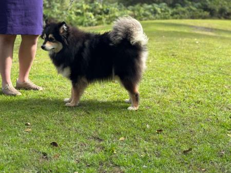 Click to view more details