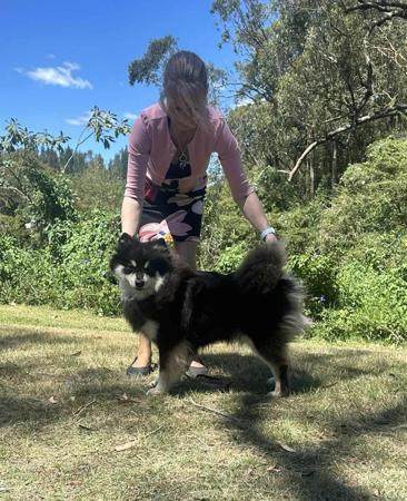 Click to view more details