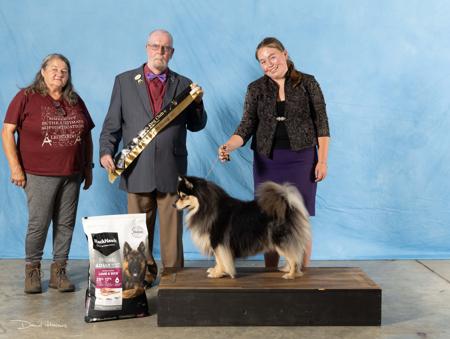 Click to view more details