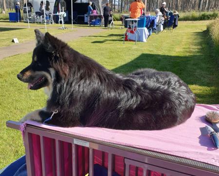 Click to view more details