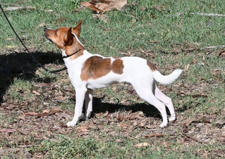 Click to view more details