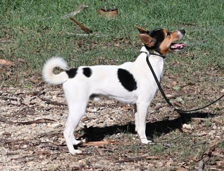 Click to view more details