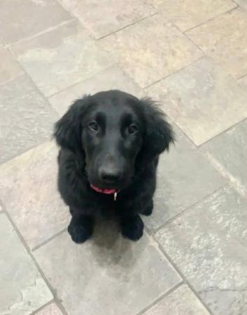 Click to view more details