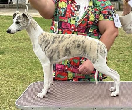 Click to view more details