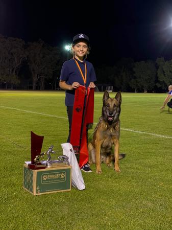 Belgian Shepherd Dog (Malinois) for sale by TYRR