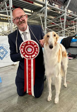 MBISS, A2O, CIB, SUP CH, Italian CH, Latin CH, WW26 Marakhoff Vaarushka (AI) Borzoi