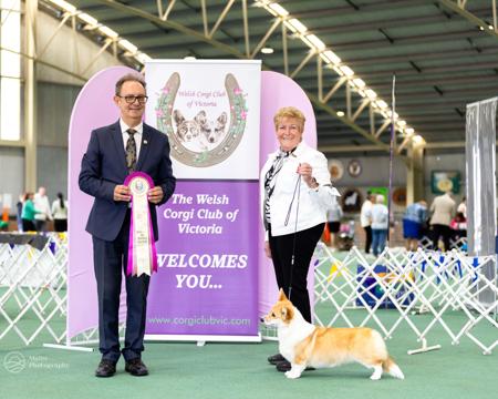 Click to view more details