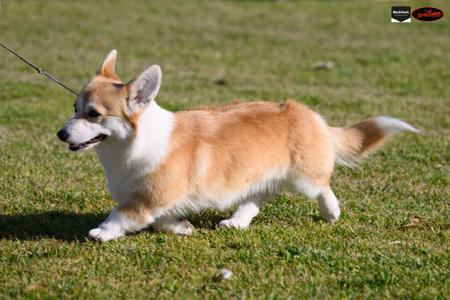 Click to view more details