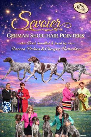 German Shorthaired Pointer for sale by SEVOIER