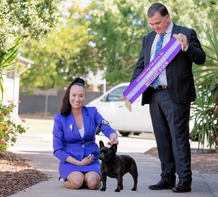 French Bulldog for sale by SOLACES