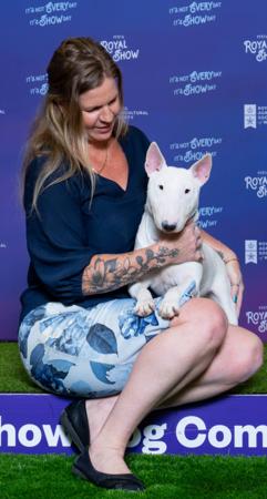 Bull Terrier (Miniature) for sale by GOHTCHA