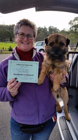 Border Terrier for sale by LISGAR